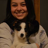 54dce5eddaf75 avatar