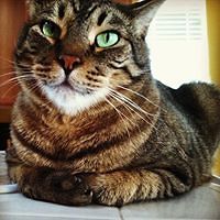 delivered_wings avatar