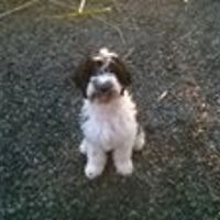 jane_ann_field_1 avatar