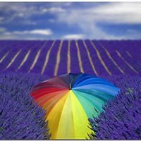 jo_turner_399 avatar