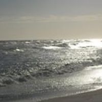 carolyn_babor avatar