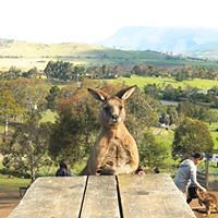 lori_weishorn avatar