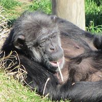 florin_marica_18 avatar