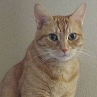 maxine_burgess_18 avatar