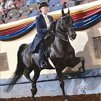 betsy_buchanan_50 avatar