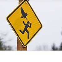 kevin_v_sherlock avatar