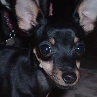 54e100f5ab82a avatar