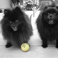 judy_reinhardt_9 avatar