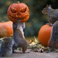 psalmofdarkness avatar