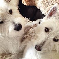 hilary_patersonjones avatar