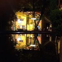 Arashe_kamangeer avatar