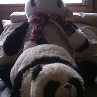 chanellouisedior avatar