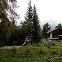 michelpignolet avatar