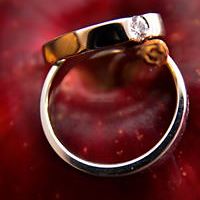 dorcaspictures_moments avatar