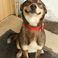 frieda_fereno avatar