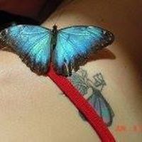 wendy_schardeingaming avatar