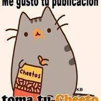 54e4c533f3bf6 avatar