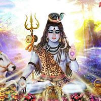 54e4ca5a55b1f avatar