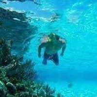 ronald_bruzda avatar