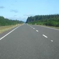 lavinia_tanirau avatar