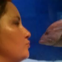 kathleen_perkins_737 avatar