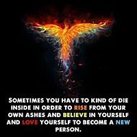 vukasin_damjanovic_9 avatar