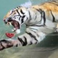 karen_nevins_12 avatar