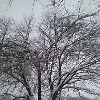 angela_lothry avatar