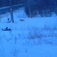 justin_wisniewski_1 avatar