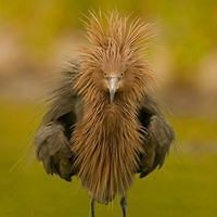 kerry_moore_773 avatar