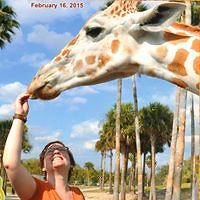 sarah_eshleman avatar