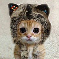 janet_l_german avatar