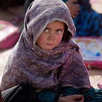 anum_nawaz_501 avatar