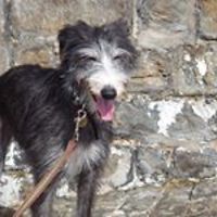 linda_hutton_378 avatar