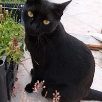 missy_mutzunac avatar