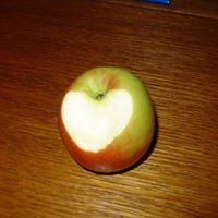 delia_vorkapic avatar