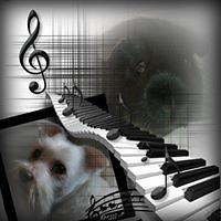 lannie_groenenboom avatar