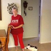 judywinder_volker avatar