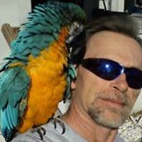 andrewpsmith64 avatar