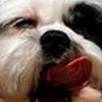 neilmathieson avatar