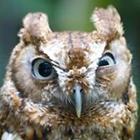 cynthia_collins_311 avatar