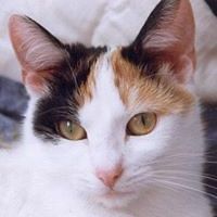 craig_veale_9 avatar