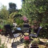 marythomas_cornwall avatar