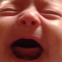 decibella_amp avatar