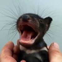 sarah_burghart_3 avatar