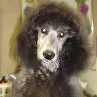 florence_graham_7 avatar