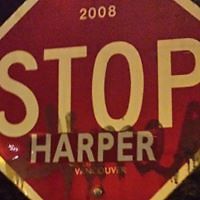 sean_dunn_3348 avatar