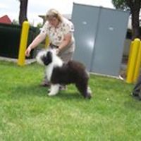 miriam_hubbard_7 avatar