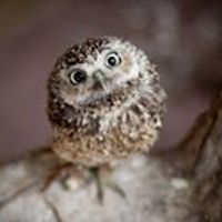 marisela_fuentes_90 avatar