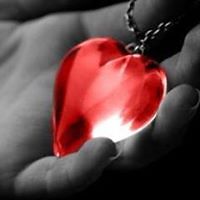 karolina_demich avatar